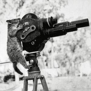 Meet your Posher, Alexia